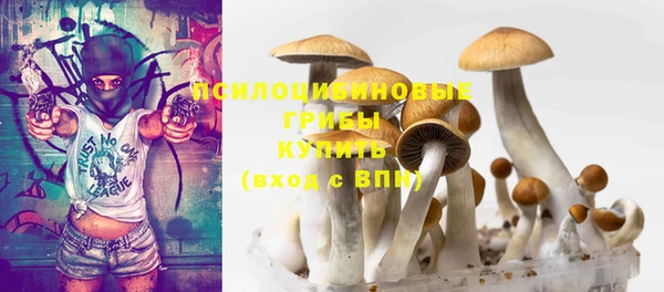 шишки Балабаново