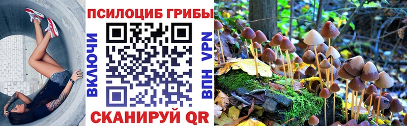 Псилоцибиновые грибы GOLDEN TEACHER  Баксан 