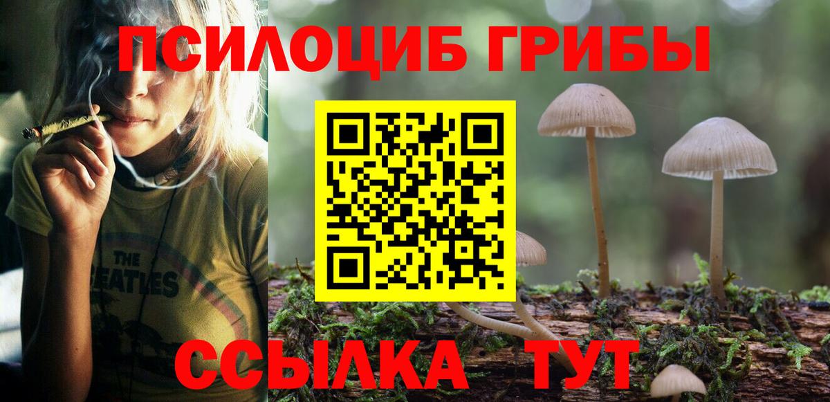 что такое наркотик  Баксан  Галлюциногенные грибы Psilocybine cubensis 